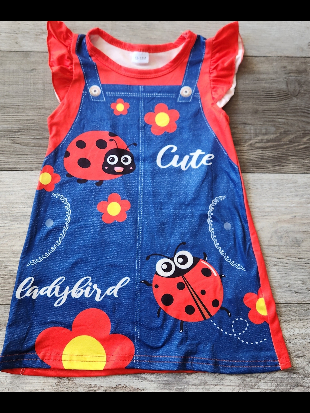 Cute Ladybird Denim-Print Red & Blue Girls' Dress